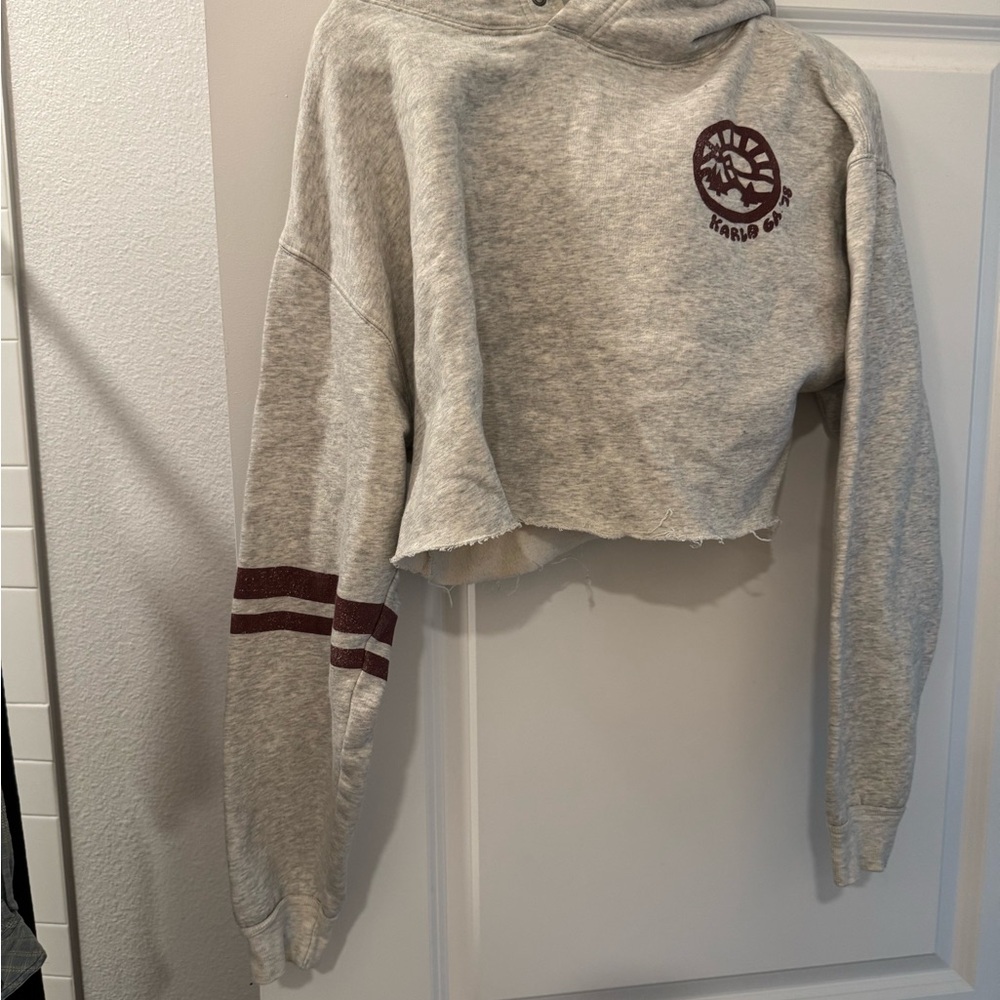 Free People Heather Gray Cropped Hoodie with Burgundy Stripes